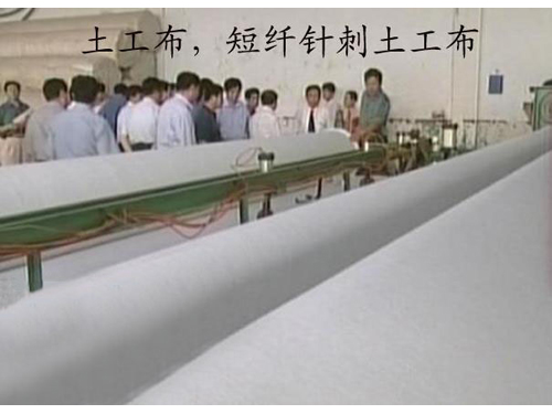 短刺香蕉视频网站污
